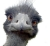 Avatar de rec321
