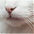 Avatar de d3j4vu