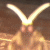 Avatar de kreativex