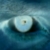 Avatar de Maximo_