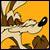 Avatar de coyote_fac