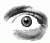 Avatar de el_tigre