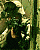 Avatar de julio199204