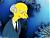 Avatar de elsaky