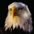 Avatar de Julian777
