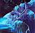 Avatar de black_silver