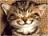 Avatar de Lenin_Germaine