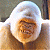 Avatar de donRodrigo