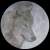 Avatar de wolfmoon