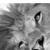 Avatar de LEON74