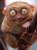 Avatar de eRRoR_404
