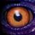 Avatar de gVenom