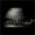 Avatar de poison_mayer