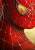 Avatar de Paly