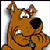 Avatar de kripton