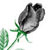 Avatar de Rosa Negra
