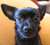 Avatar de kahlito