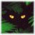 Avatar de Sperrit