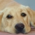 Avatar de magdalena