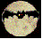 Avatar de vampirito