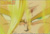 Avatar de tapion81
