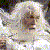 Avatar de renegado675