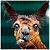 Avatar de markshock