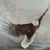 Avatar de aguilapelona