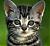 Avatar de KAT_Ayanami