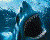 Avatar de Carcharhinus