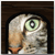 Avatar de mape367