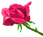 Avatar de ceraf1