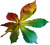 Avatar de JL_Cast