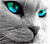 Avatar de ZydRick