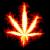 Avatar de NicoJK