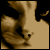 Avatar de ЖЭБИфЮЯ