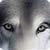 Avatar de alexeiiw