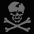 Skull_leader001