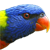dggluz