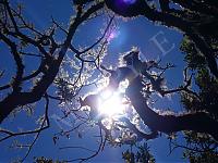 Foto de naturadinfinitus